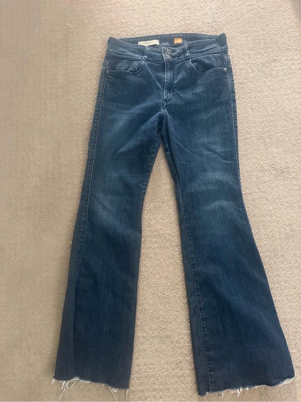 Pilcro and the Letterpress 'Superscript' Flare Jeans(size 30)